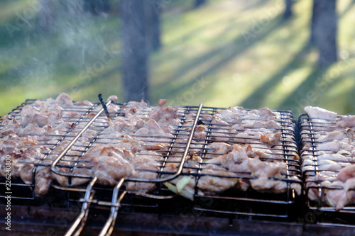 Barbecue chicken or meat fried on the grill on the coals