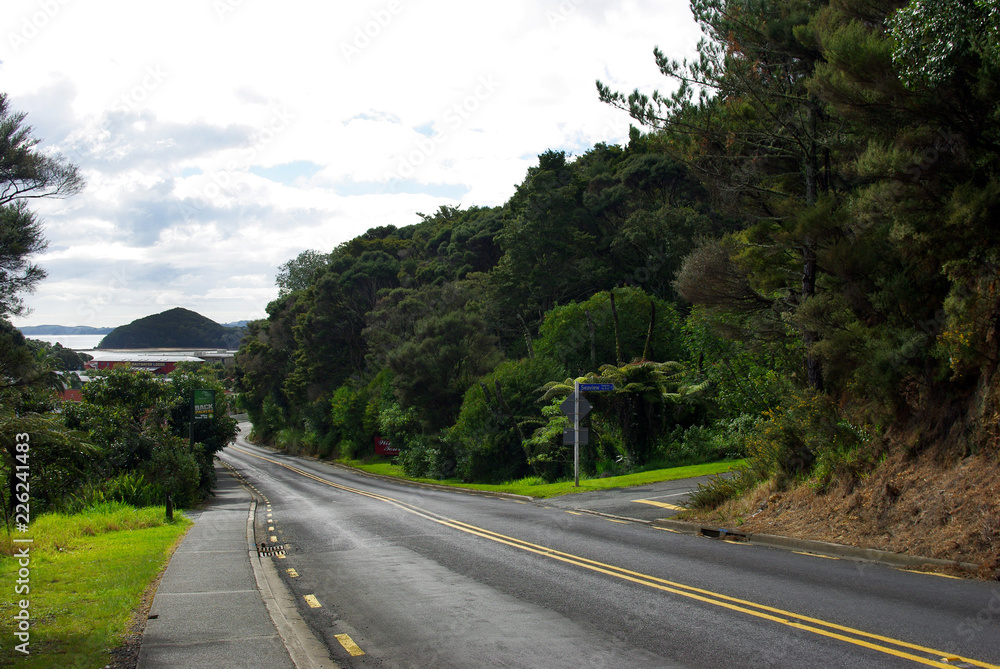 Slope road in a hill between green vegetation and forest  in Paihia, New Zealand.