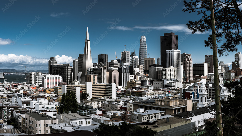 skyline of san franscisco. view of the san Francisco downtown skyline during a spring sunny day. united states.