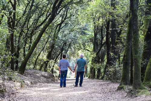 Retired couple walking together on the path of a forest