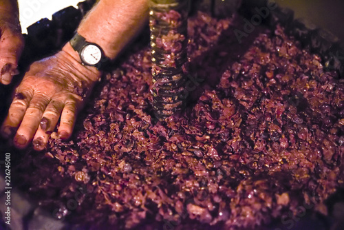 Wallpaper Mural Winemaking. Old wooden wine press with must inside. Pressing of grapes for red wine Torontodigital.ca