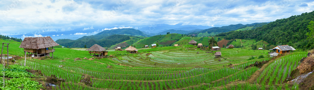 Panoramic view house and terraced rice paddy field in Chiangmai, Thailand.