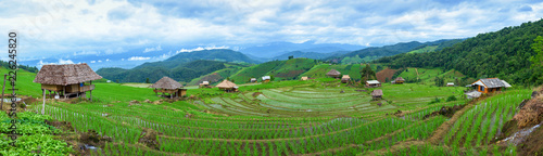 Panoramic view house and terraced rice paddy field in Chiangmai, Thailand.