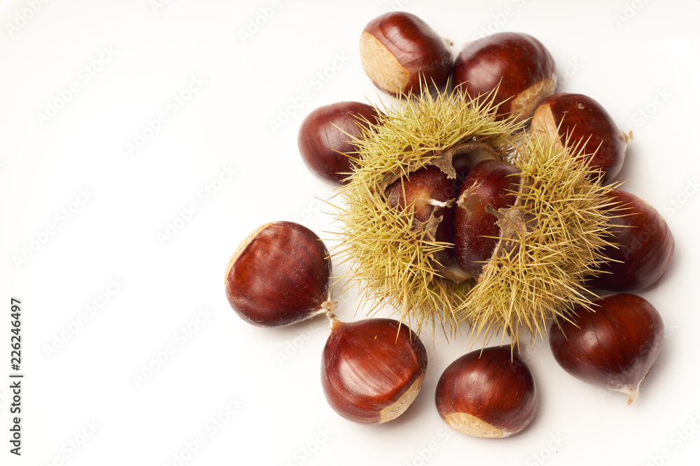 Sweet chestnut on white background