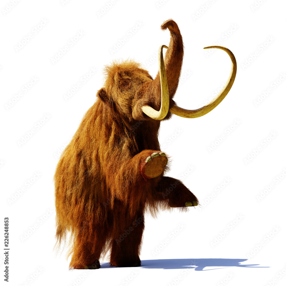 Fototapeta premium mamut włochaty stojący na dwóch nogach, prehistoryczny ssak na białym tle z cieniem na białym tle (renderowanie 3d)