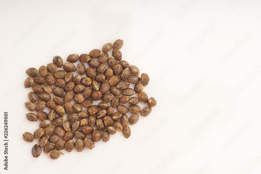 Cannabis seeds on white background macro Cannabis seeds on white background macro
