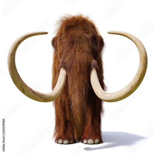 woolly mammoth, prehistoric mammal front view isolated with shadow on white background (3d illustration)