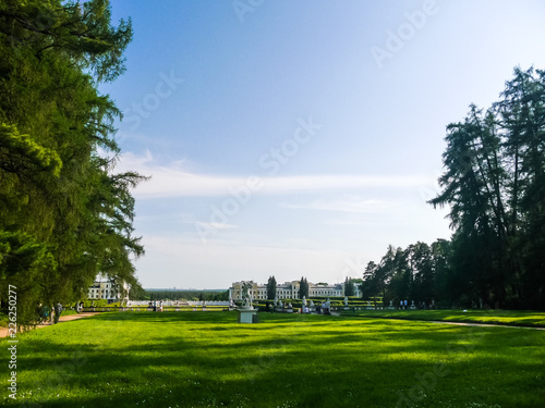 grass, trees and blue sky