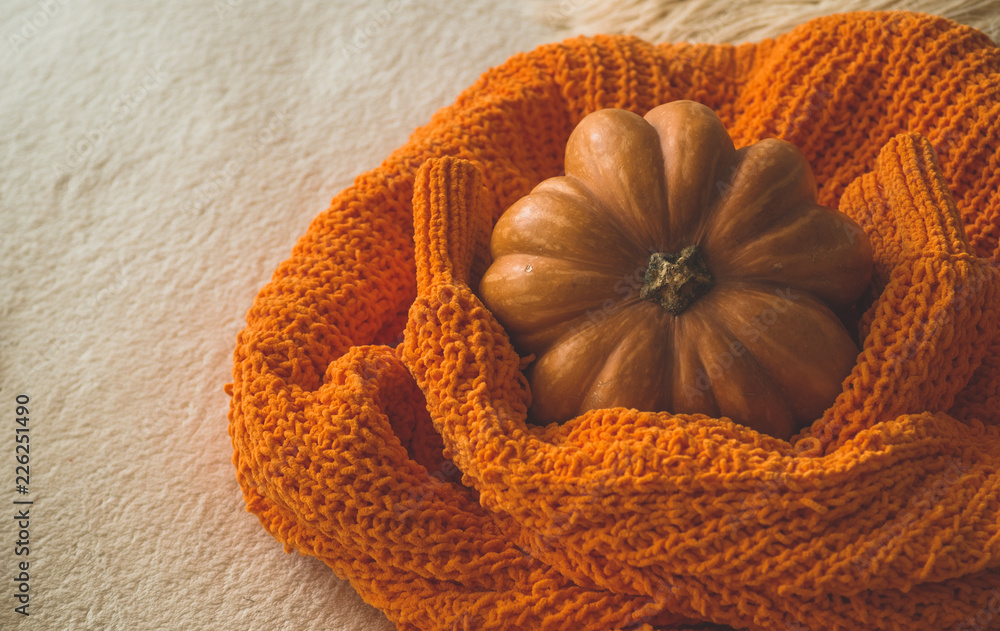 Big orange pumpkin on warm sweater. Pumpkin in the soft pullover