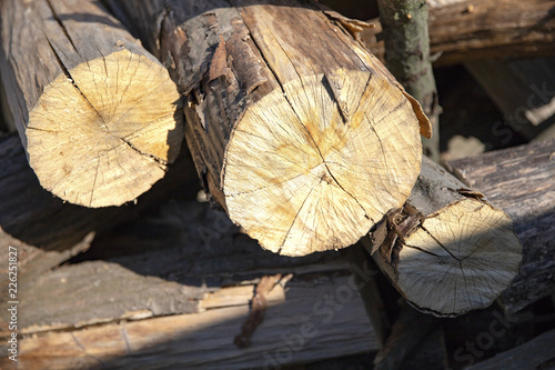 Cross section of the timber, firewood stack for the background. A lot of cutted logs. Stack of sawn logs. Natural wooden decor background. Pile of chopped fire wood prepared for winter.