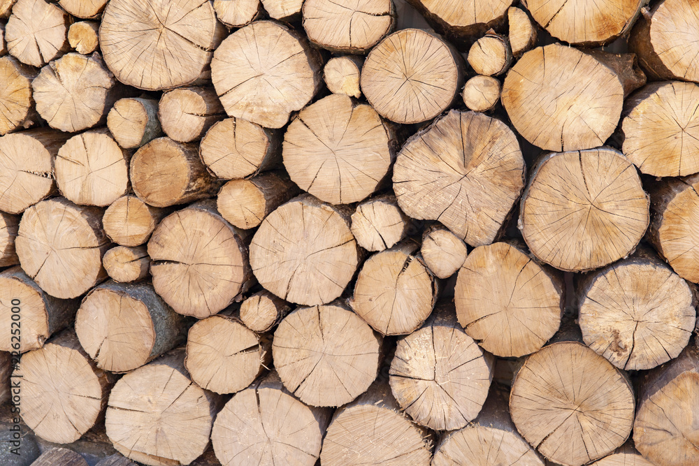 Cross section of the timber, firewood stack for the background. A lot of cutted logs. Stack of sawn logs. Natural wooden decor background. Pile of chopped fire wood prepared for winter. Cross section of the timber, firewood stack for the background. A lot of cutted logs. Stack of sawn logs. Natural wooden decor background. Pile of chopped fire wood prepared for winter.