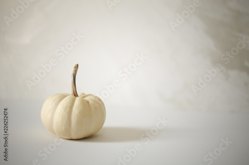 Single White Pumpkin Halloween against a white background, Modern Harvest Concept with Copy Space - Halloween and Thanksgiving Decorations, Chic Minimalist