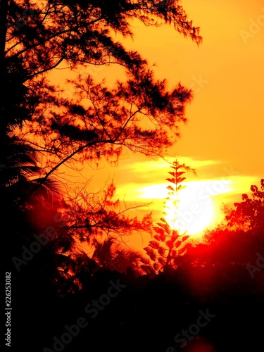 Vibrant sunlight with orange red sky during twilight hours © Anupam
