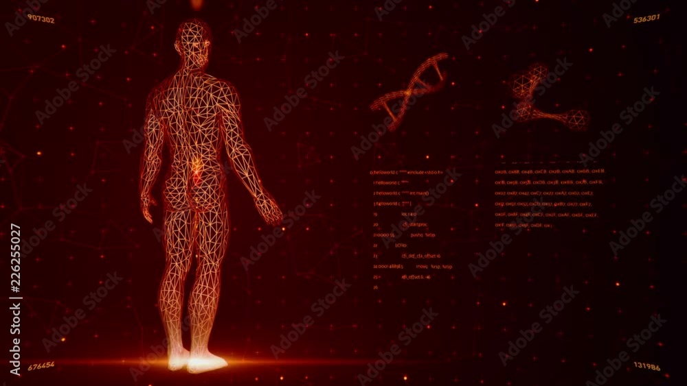 Background with animation of abstract interface. Human body, head ...