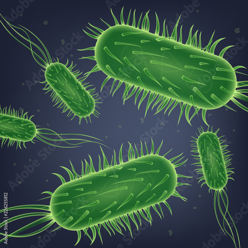 Escherichia Coli Bacteria Colony Realistic Vector