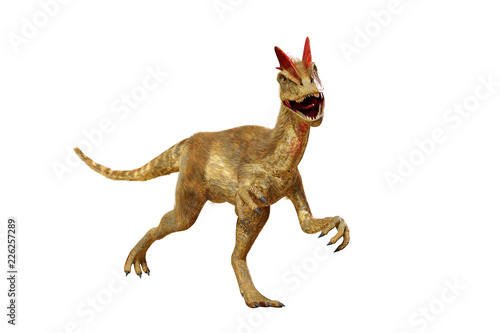 Dilophosaurus, theropod dinosaur from the Early Jurassic period (3d render isolated on white background) © dottedyeti