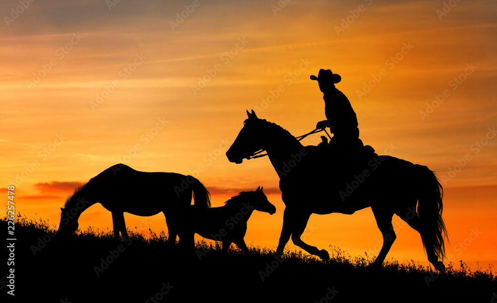 Obraz Sylwetka kowboja i konia o zachodzie słońca