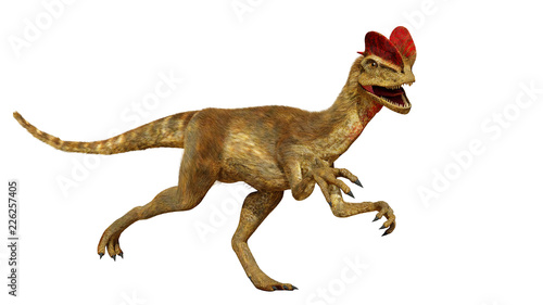 Dilophosaurus, theropod dinosaur from the Early Jurassic period (3d render isolated on white background) © dottedyeti