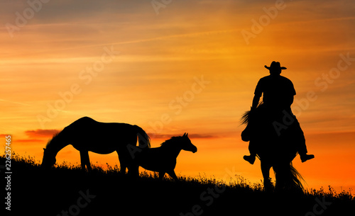 Silhouette of a cowboy and horse at sunset