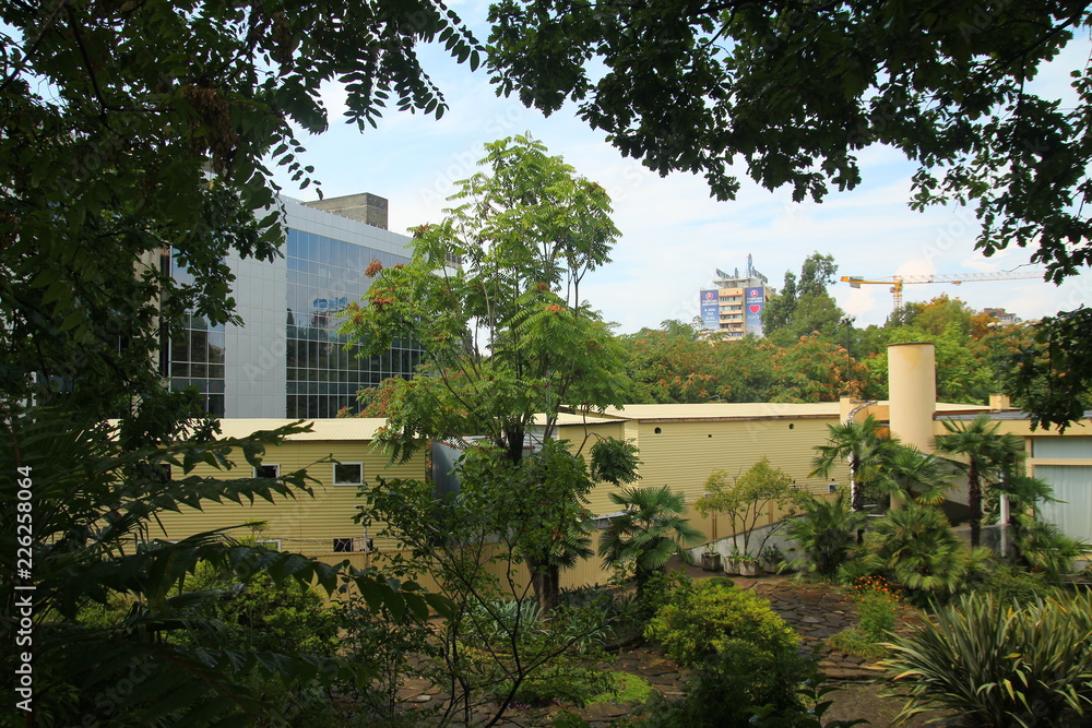 Fototapeta premium City park