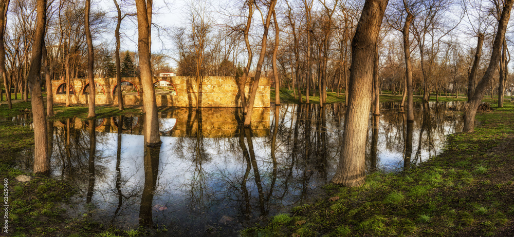 Obraz premium Reflections in the sea garden