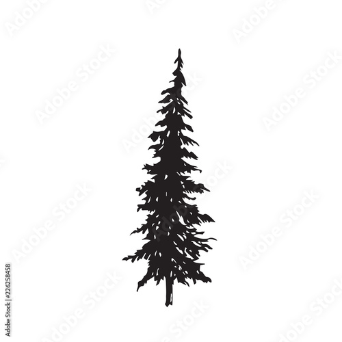 Pine tree silhouette, hand drawn doodle sketch, black and white vector illustration