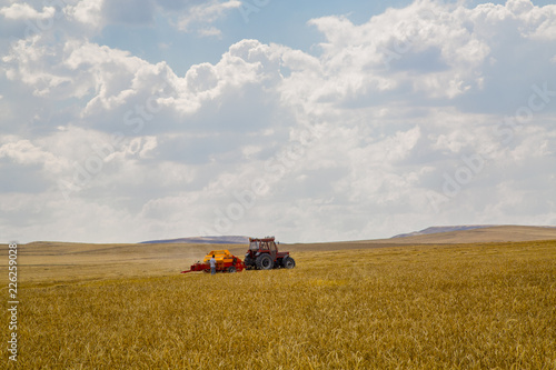 Combine harvester on a wheat field with blue sky photo