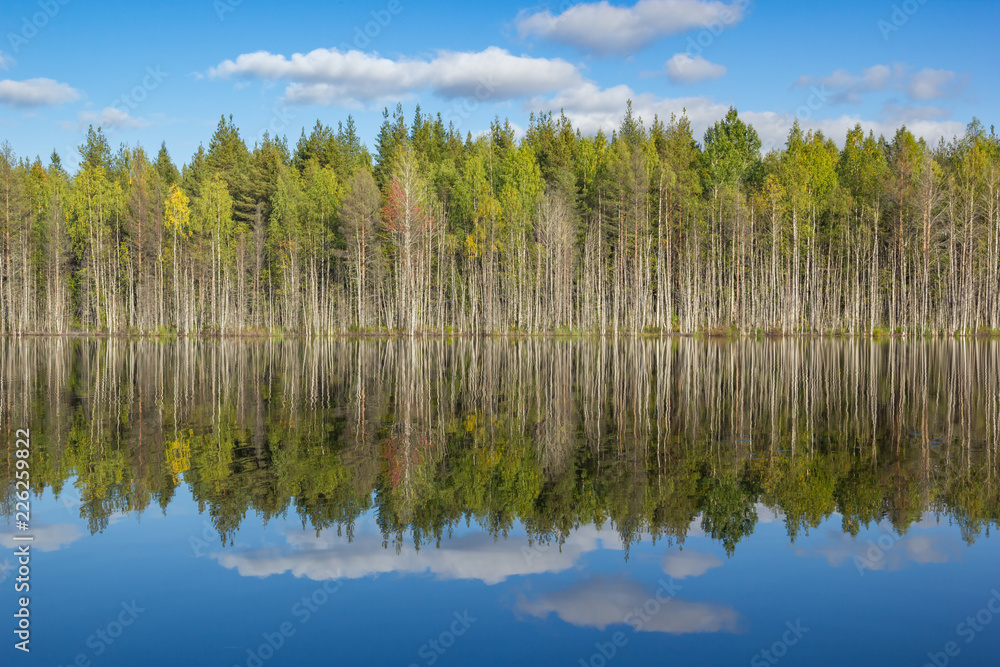 Blue Sky and Green Trees in Clear Lake Mirror Water Reflection of Autumn Forest Fall Landscape