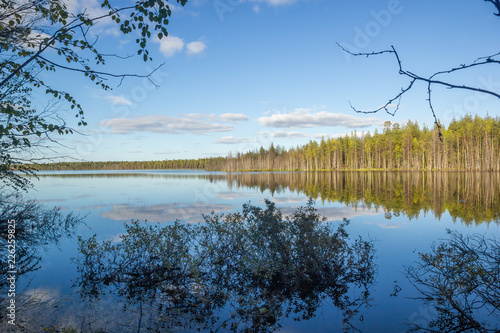 Fototapeta Naklejka Na Ścianę i Meble -  Blue Sky with Clouds and Green Trees Water Reflection of Autumn Landscape Branch Frame Backdrop