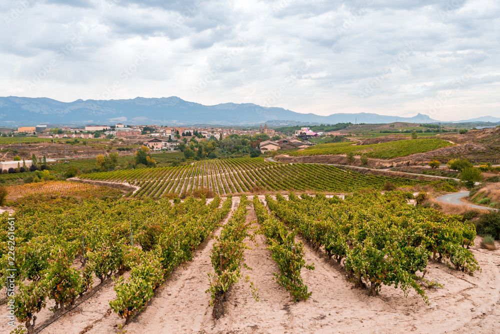 countryside town of elciego in la rioja with marques del fiscal winery at background, Spain