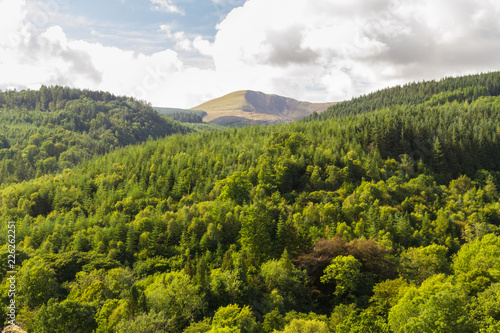Welsh landscape hills and trees. photo