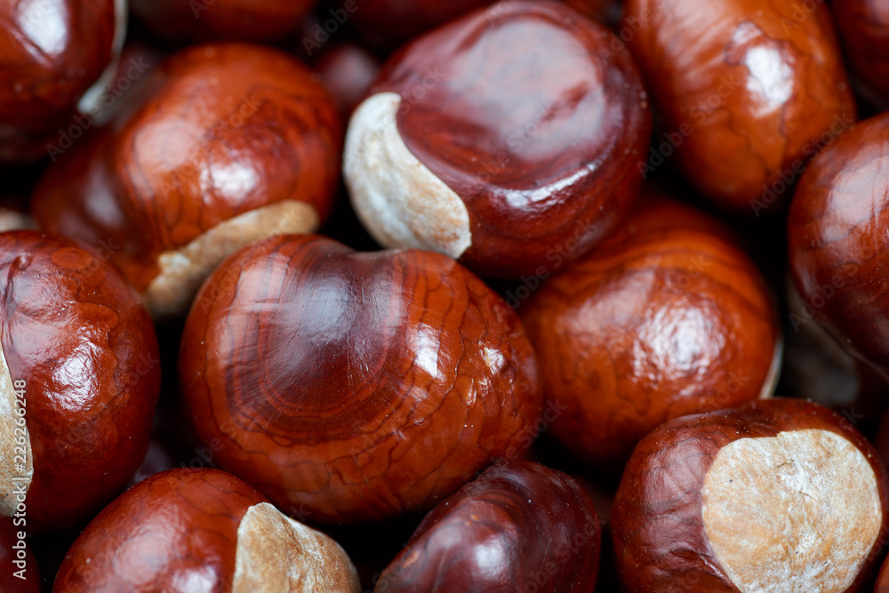Ripe chestnuts background. Autumn decorations. Autumn concept. Ripe chestnuts background. Autumn decorations. Autumn concept.