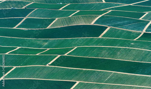 Farmland in Northern California