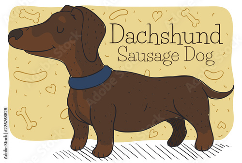 Serene Dachshund or Sausage Dog Waiting for its Master, Vector Illustration