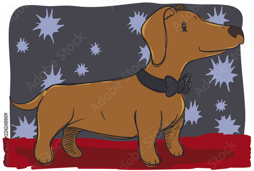 Cute Dachshund like a Gentleman for a Dog Contest, Vector Illustration