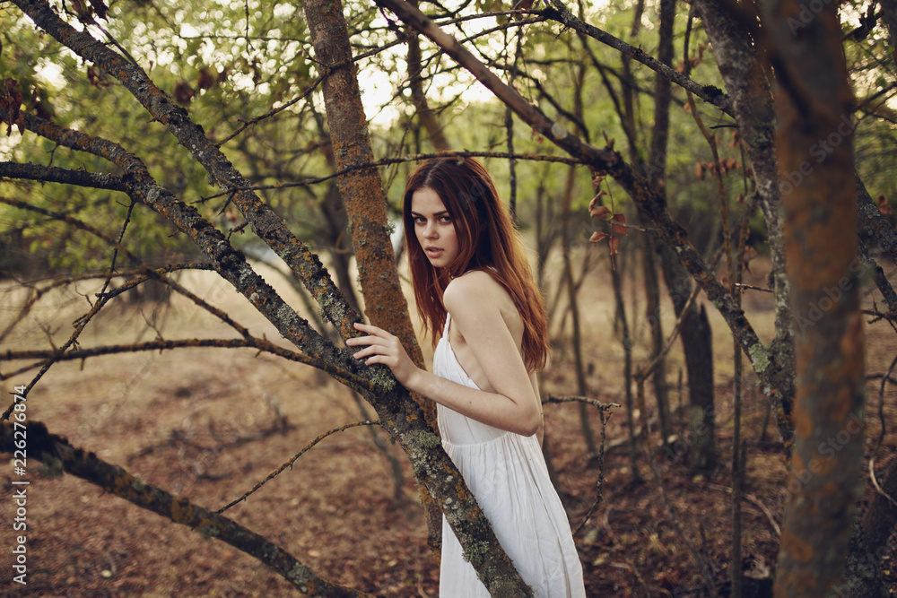 woman in the forest holding on to a tree woman in the forest holding on to a tree