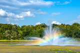 Sunlight passing through a fountain's spray on a bright sunny day creates a beautiful rainbow,.