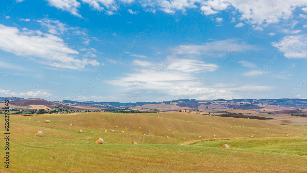 Fototapeta premium Fields and hills of Tuscany, Italy