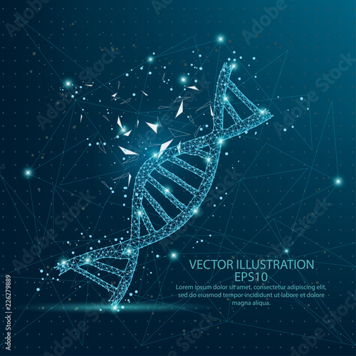 DNA form low poly wire frame on blue background.