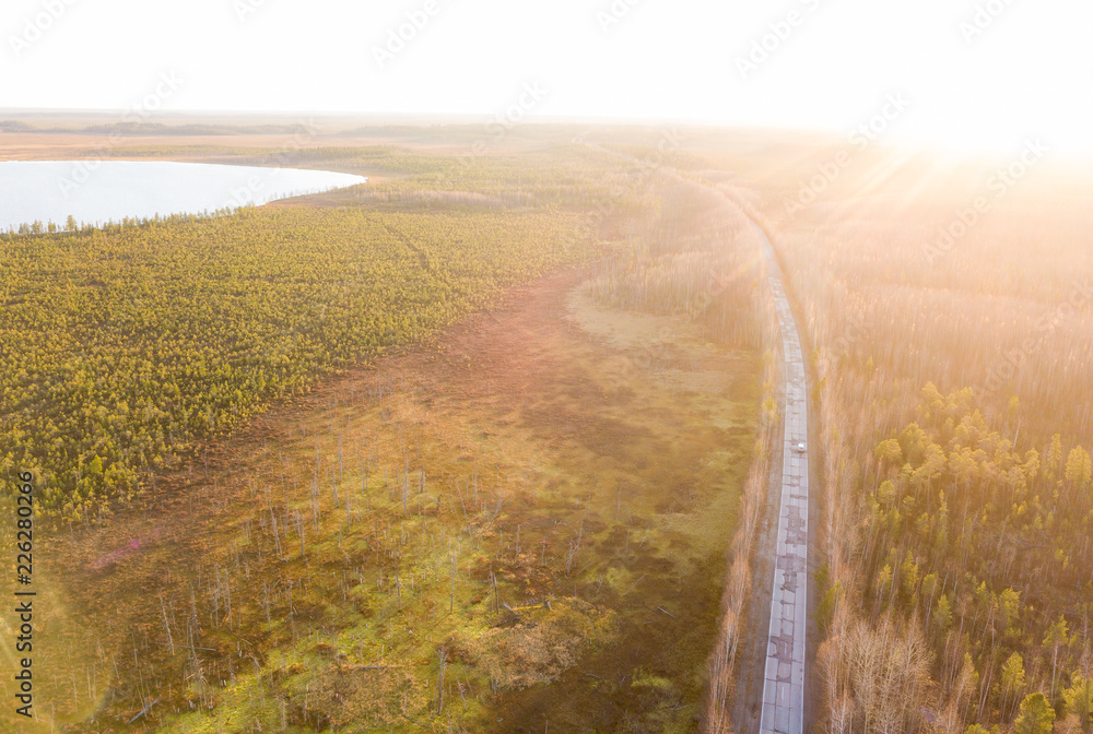 Road through the taiga forest. Oil deposit. Oil production. Sunset on the Vasyugan swamp. Nature landscape from aerial view. Off road transportation. Siberia, Russia.