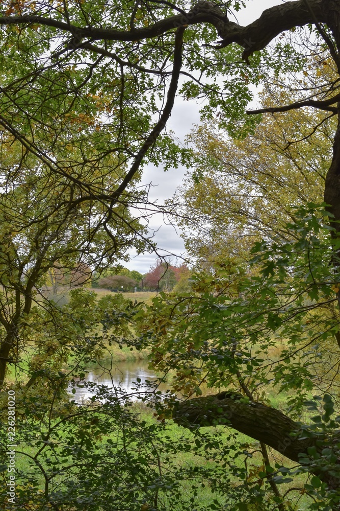 Obraz premium Fall leaf landscape