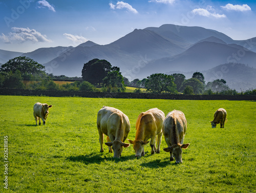 Lake District National Park