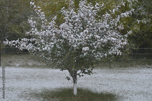 October Falling Snow