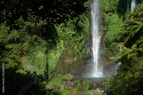 Sekumpul waterfall in Bali surrounded by tropical forest