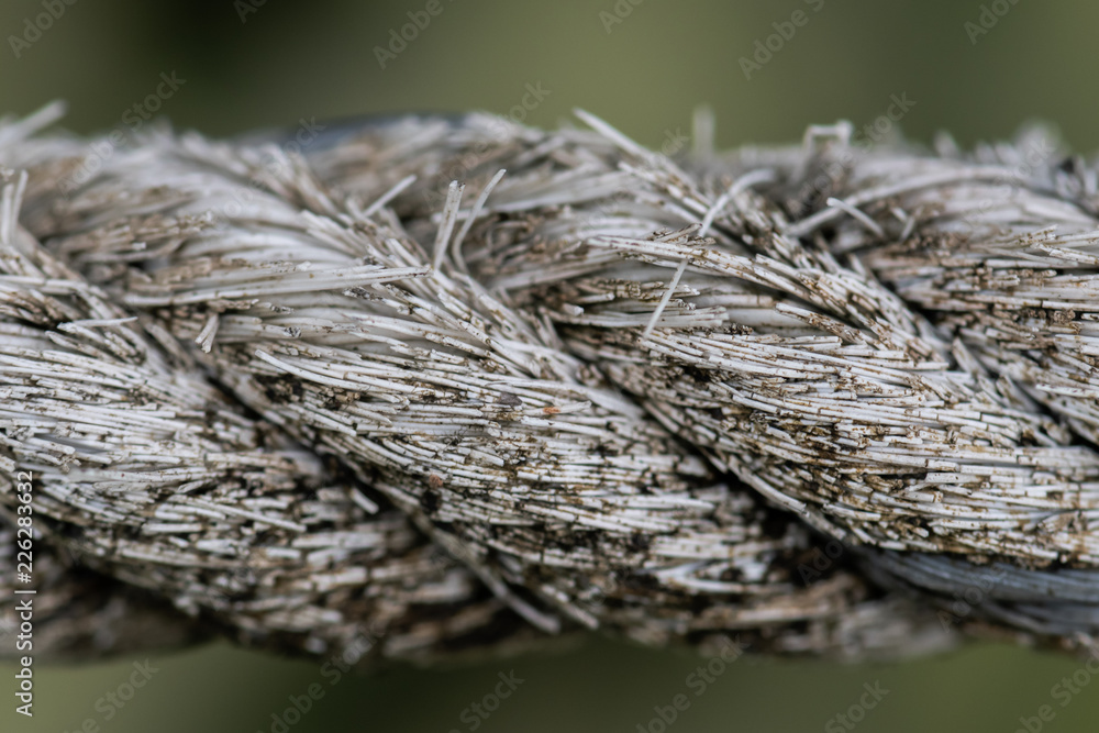 Big old nylon rope , Damaged from a long time,Close up Big old nylon rope , Damaged from a long time,Close up