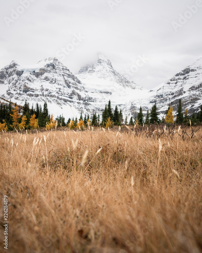 Golden grass blows in the wind below a snow covered peak hidden in the clouds photo