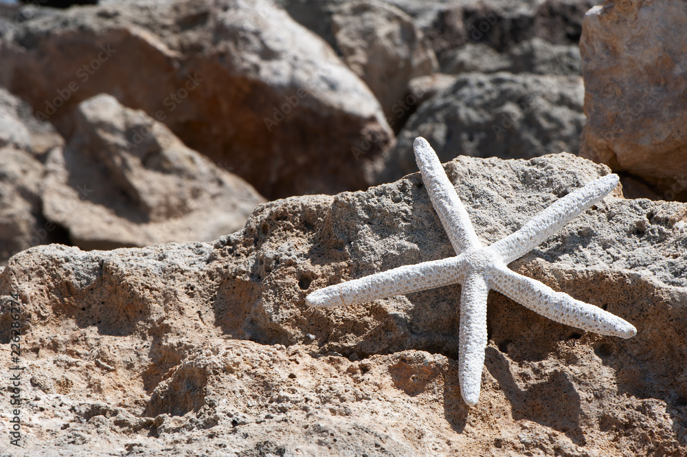 The theme of the beach, recreation, vacation. Sea, sand, rocks and starfish, space for text The theme of the beach, recreation, vacation. Sea, sand, rocks and starfish, space for text