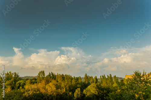 Urban Autumn landscape with trees in sunlight