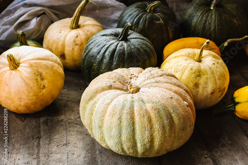 Green, yellow and white pumpkins lie on the floor, harvested.
