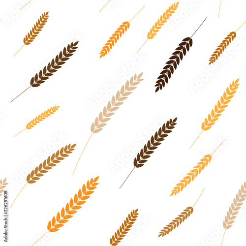 Vector seamless pattern illustration ears of wheat. Beer, oktoberfest, background. For bakery package, bread products.Autumn harvest.